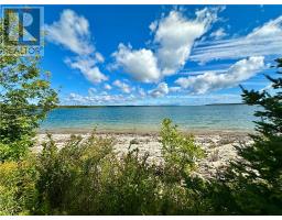 21214 Highway 6, South Bay Mouth, ON P0P1Z0 Photo 73