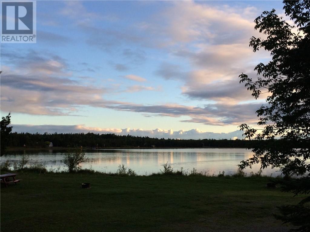21214 Highway 6, South Bay Mouth, Ontario, P0P1Z0 — Photo 75