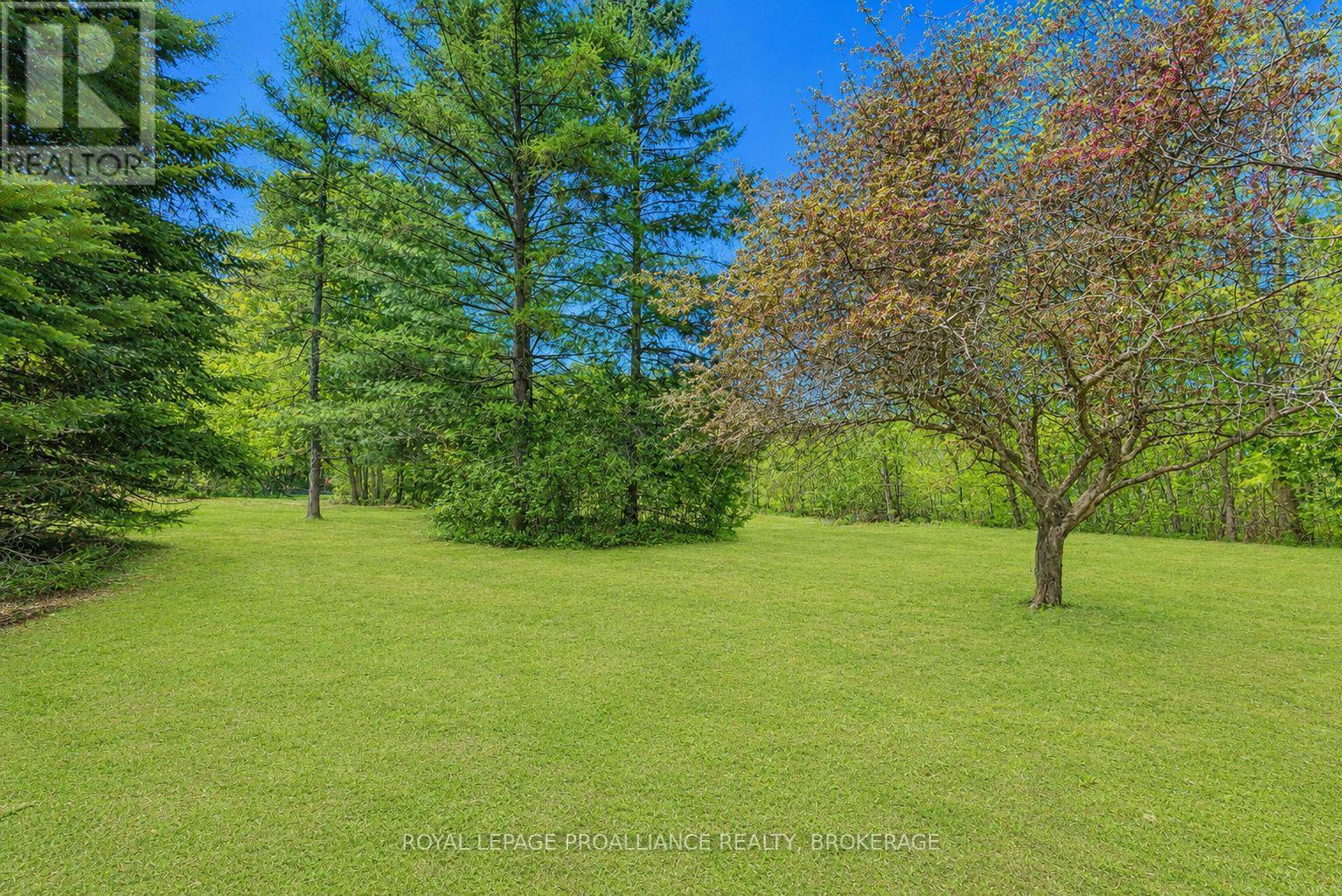 3384 MURTON ROAD - 42