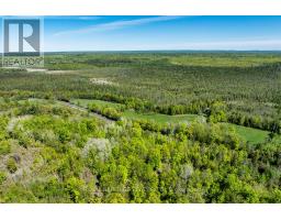 538 Spry Road, Stirling Rawdon, ON K0K2M0 Photo 20