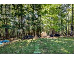 538 Spry Road, Stirling Rawdon, ON K0K2M0 Photo 26