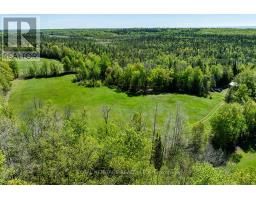 538 Spry Road, Stirling Rawdon, ON K0K2M0 Photo 39