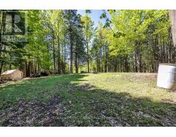 538 Spry Road, Stirling Rawdon, ON K0K2M0 Photo 46