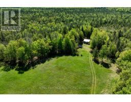 538 Spry Road, Stirling Rawdon, ON K0K2M0 Photo 21