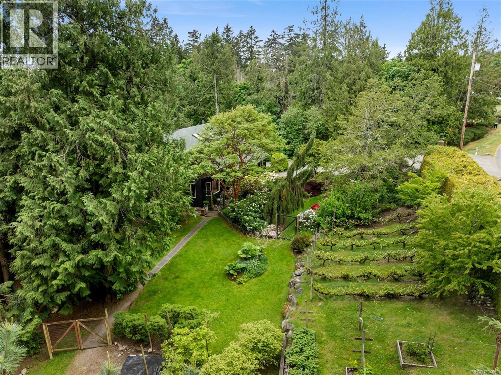 11007 Cedar Lane - 32