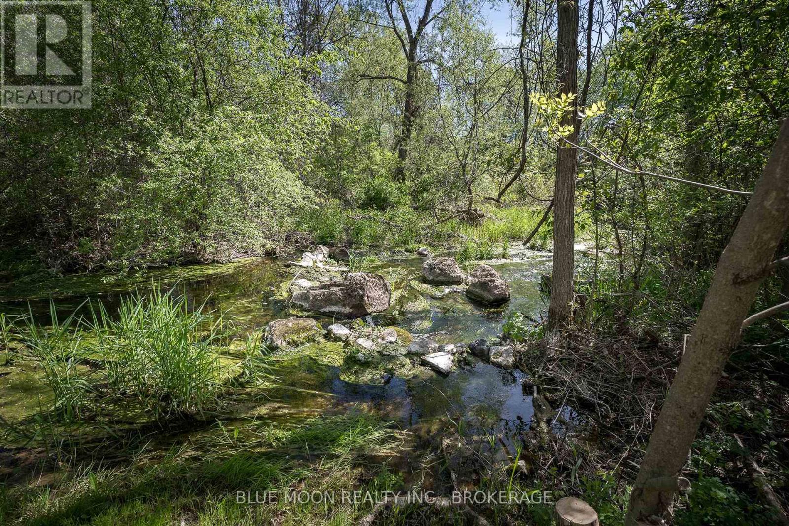 2545 LEEMAN ROAD - 47