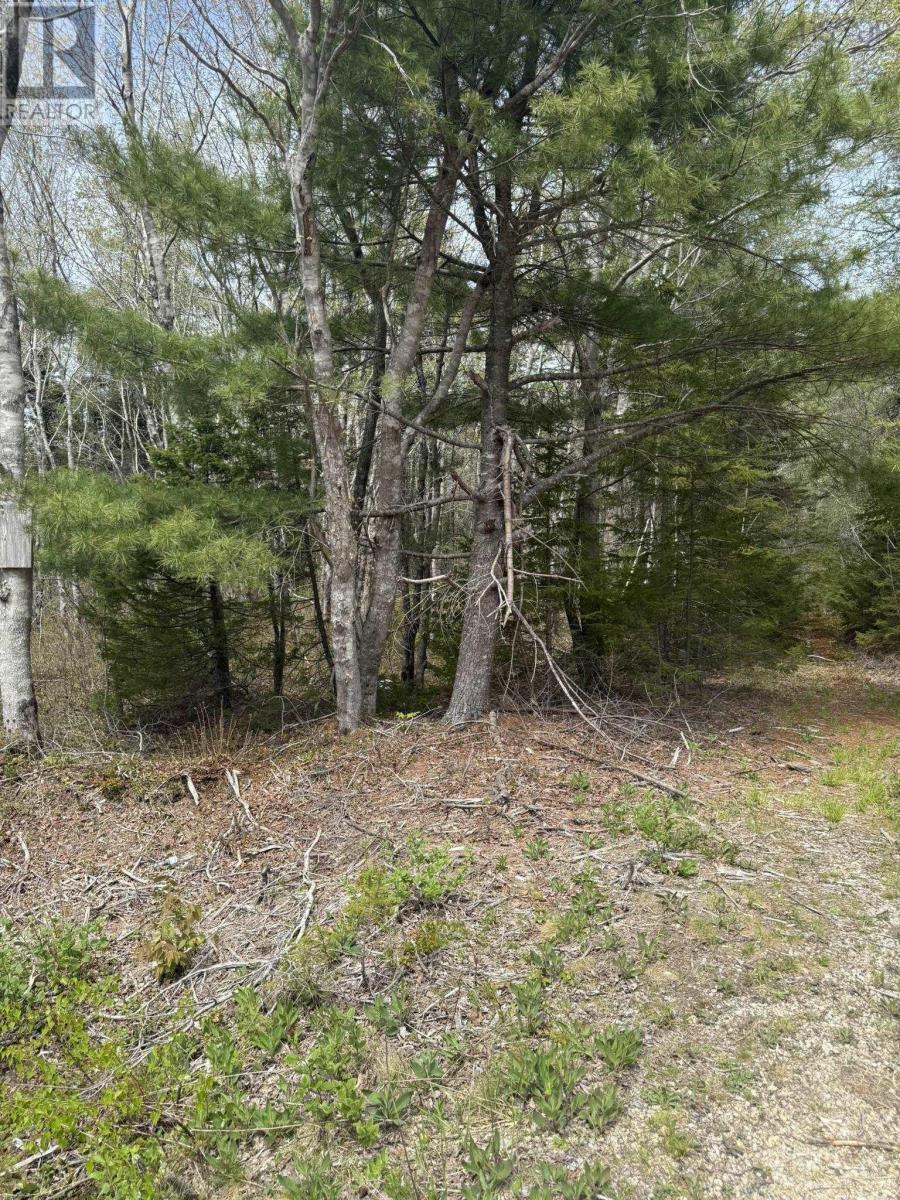 Property 3 of 8 of Lot 1-A Gavel Road