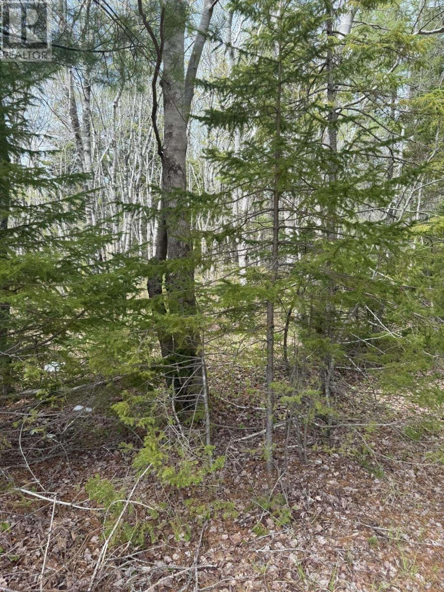 Property 7 of 8 of Lot 1-A Gavel Road