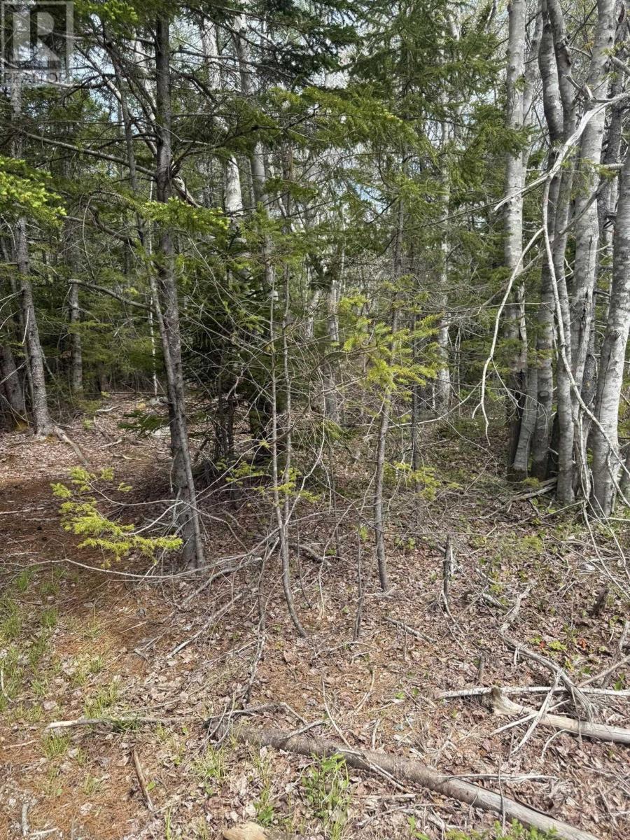 Property 8 of 8 of Lot 1-A Gavel Road
