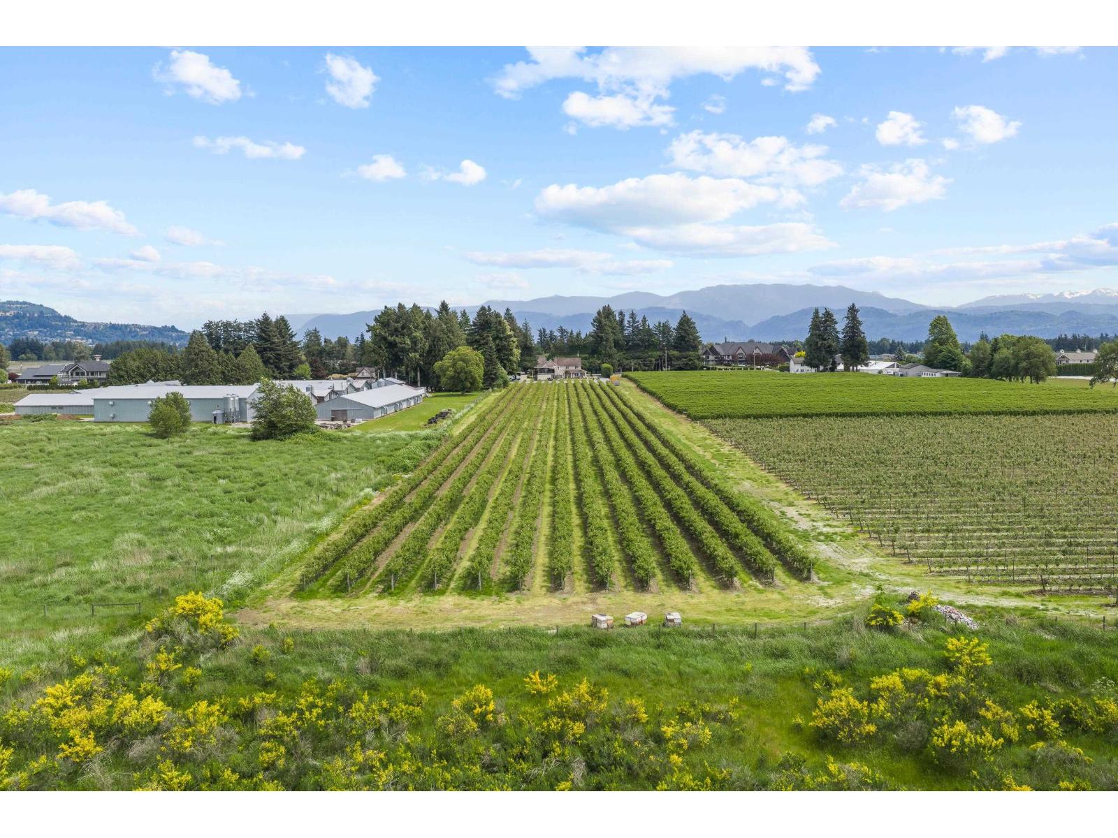 1189 GLADWIN ROAD, Abbotsford