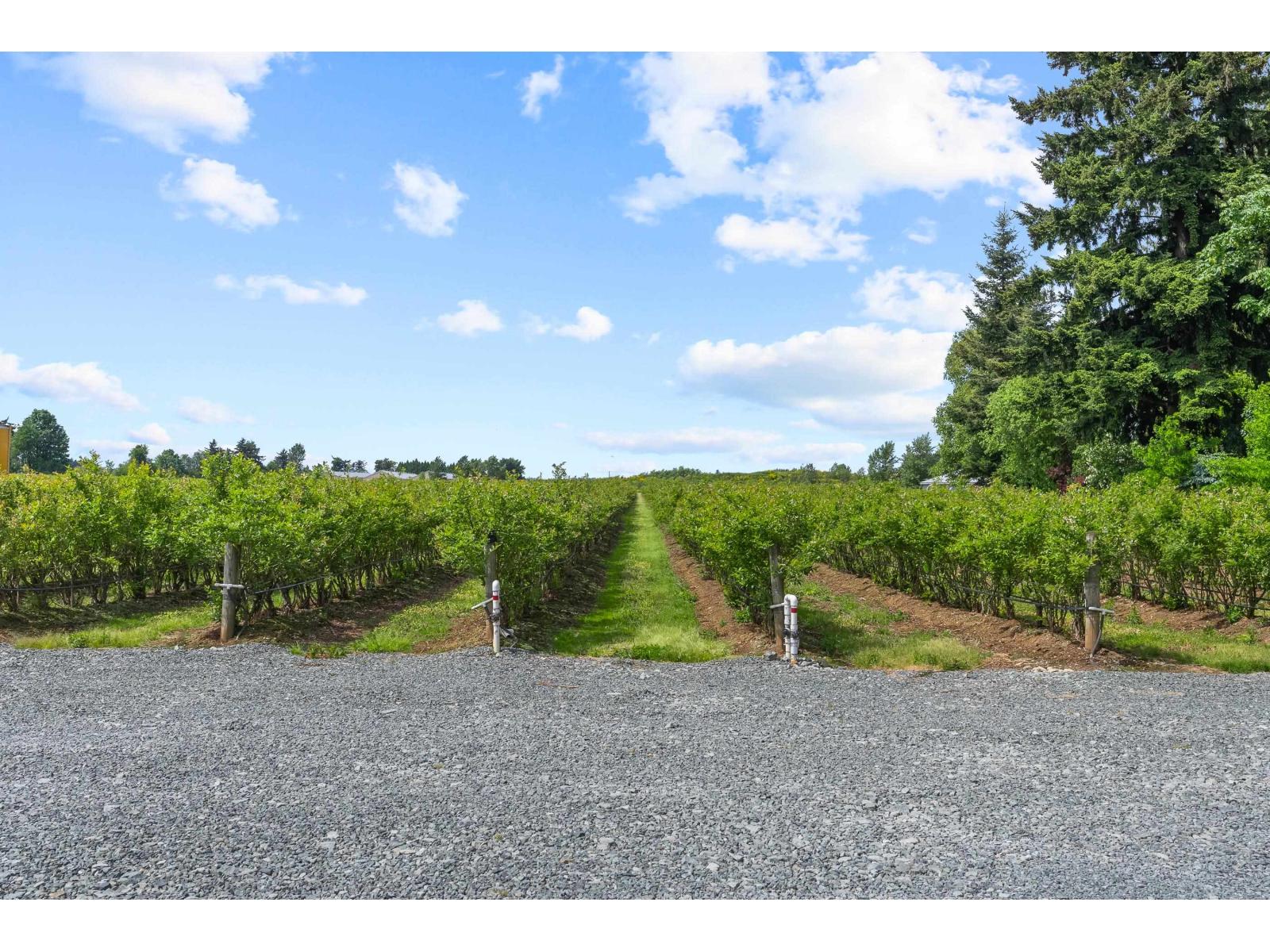 1189 GLADWIN ROAD, Abbotsford