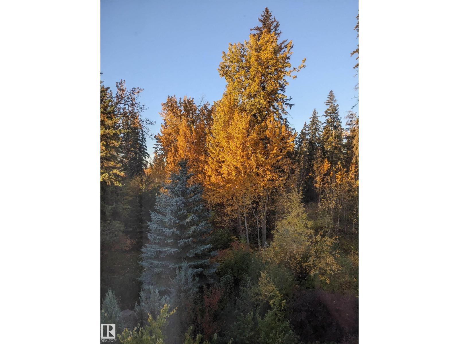1728 Rutherford PT PT SW SW - 72