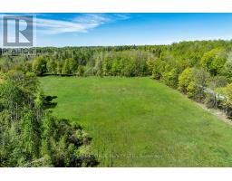 538 Spry Road, Stirling Rawdon, ON K0K2M0 Photo 50