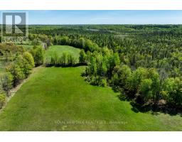 538 Spry Road, Stirling Rawdon, ON K0K2M0 Photo 45