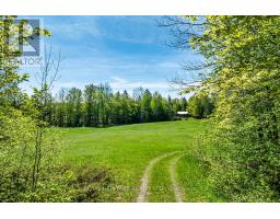 538 Spry Road, Stirling Rawdon, ON K0K2M0 Photo 12
