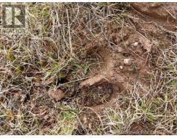 Lot 102 Off Bristol Road, Saint Paul, NB E4T3C4 Photo 7