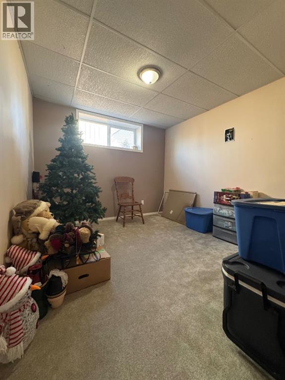 Lower Level 4th Bedroom