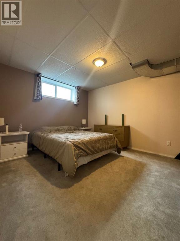Lower Level 3rd Bedroom