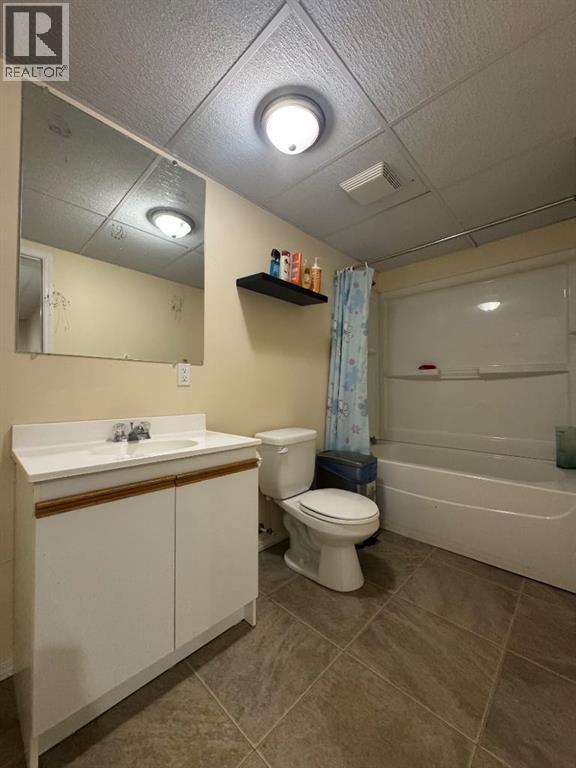 Lower Level 4 Piece Bathroom