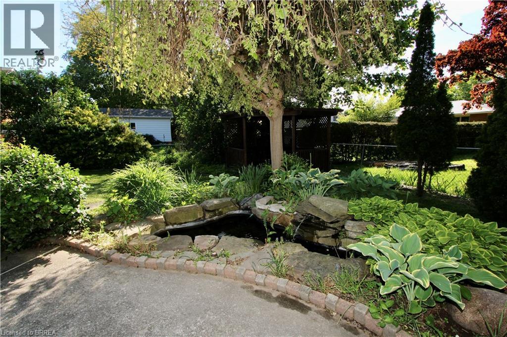19 ADAMS Lane - 45