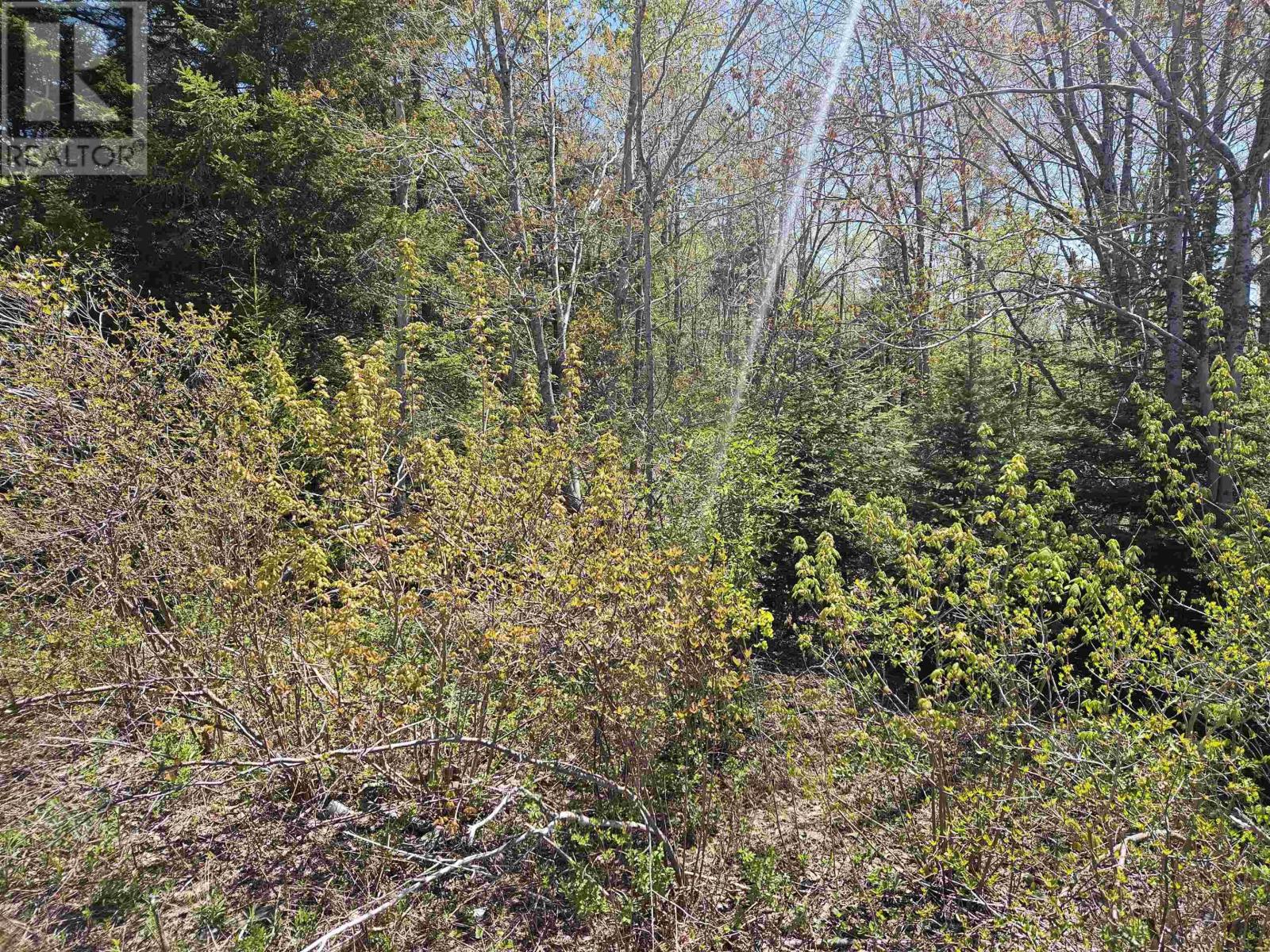 Property 2 of 3 of 720 Lucasville Road