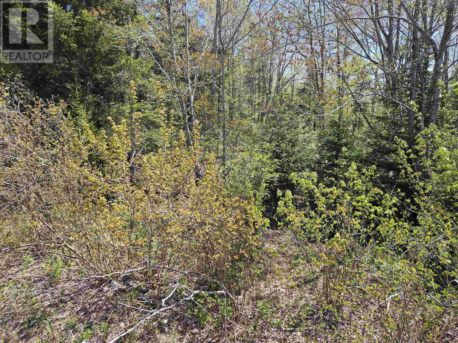 Property 3 of 3 of 720 Lucasville Road