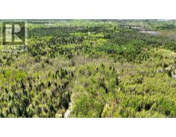 395 Route 630, Andersonville, NB E5A1C8 Photo 19
