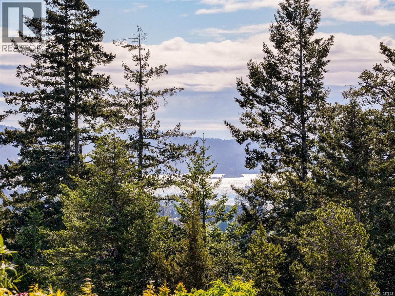 2371 Mountain Heights Rd - 31