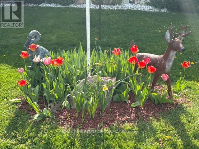 21 MAPLE GROVE VILLAGE ROAD - 3