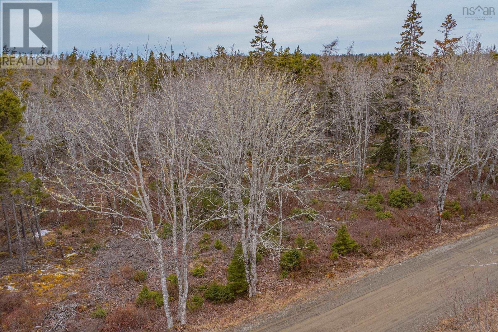 Property 13 of 17 of Lot Peter Leblanc Road