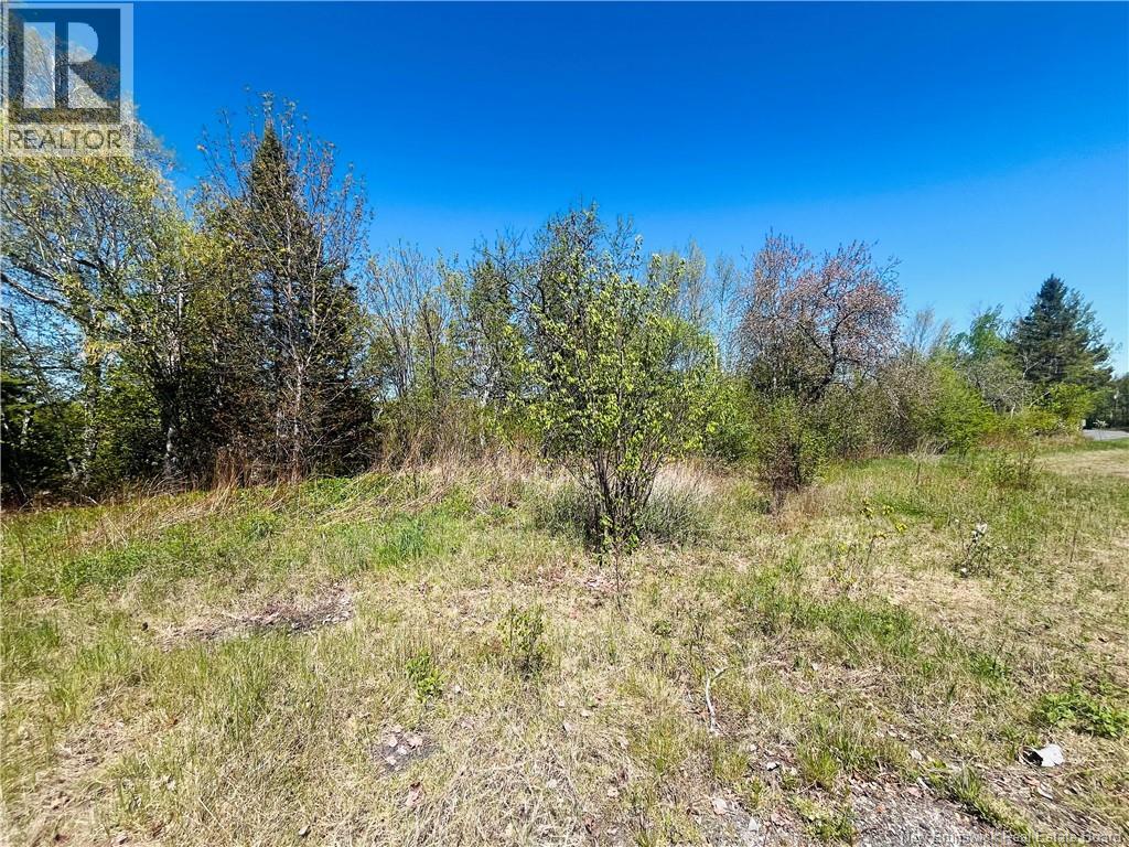 2720 Hwy 420, Matthews Settlement — photo 3