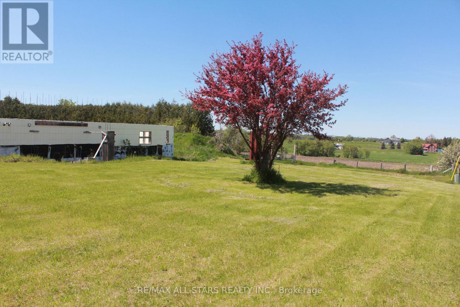 20894 WOODBINE AVENUE - 5