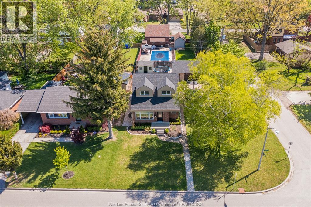 3094 BRUCE - Image 2
