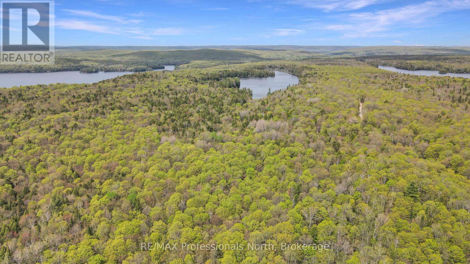 1514 LITTLE STRAGGLE LAKE DRIVE - 36