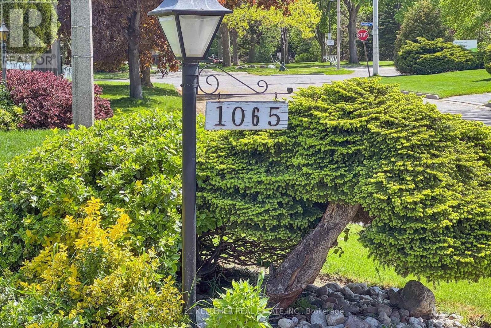 1065 SIERRA BOULEVARD S - Image 2