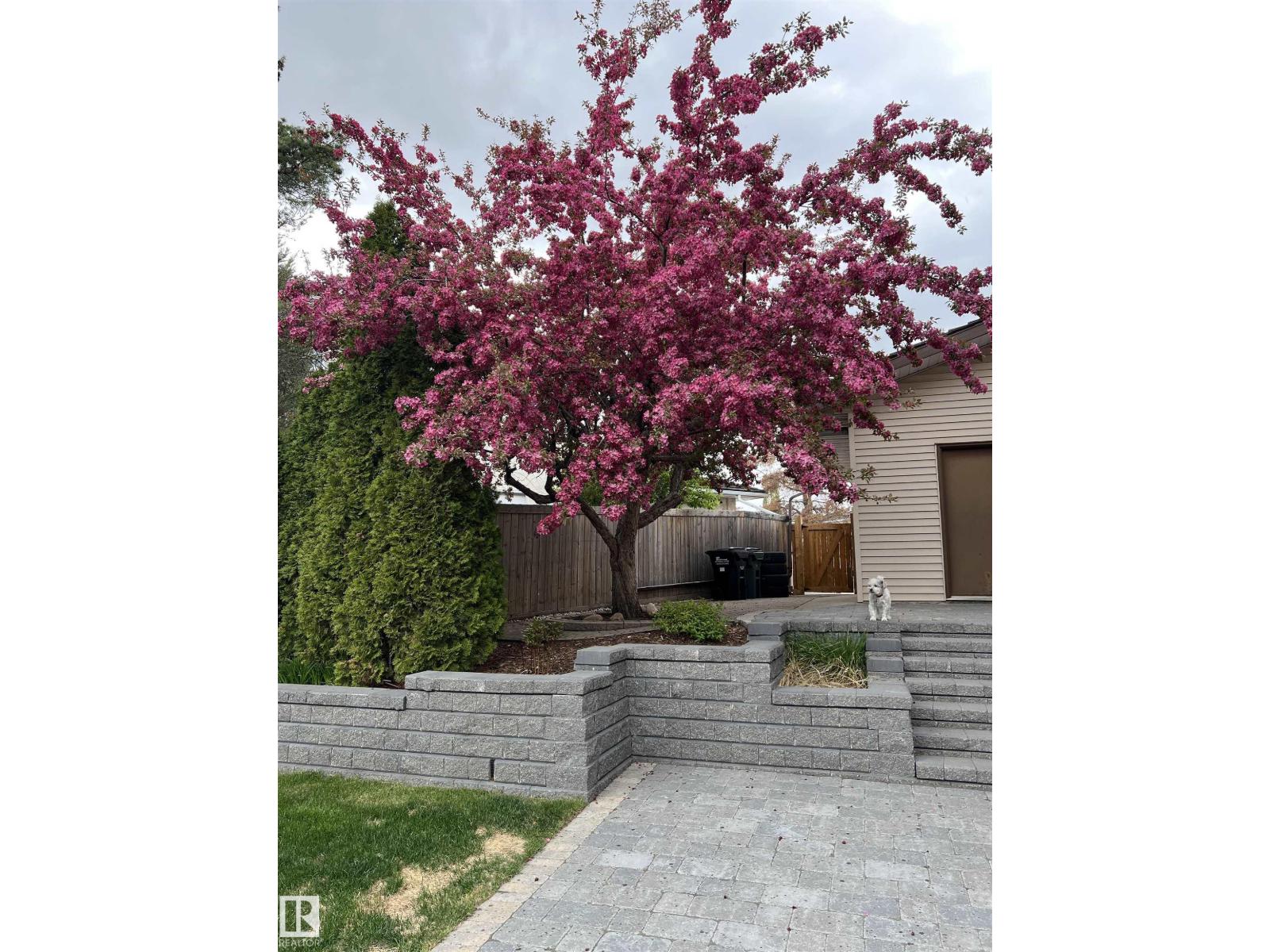 21 NEWPORT DR — photo 62