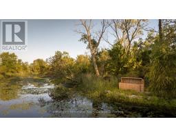 6890 Essex 50 Road, Amherstburg, ON N0R1G0 Photo 45