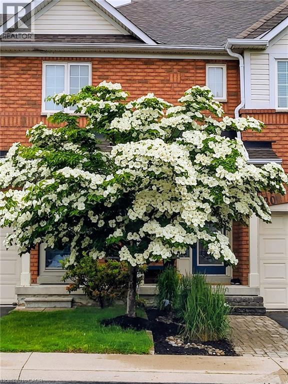 #20 710 SPRING GARDENS Road - Image 3