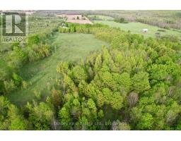 316270 3rd Line C, Grey Highlands, ON N0H1N0 Photo 25