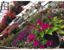 Misty Meadows Greenhouse Ltd., Meadow Lake, SK S9X1Y6 Photo 14
