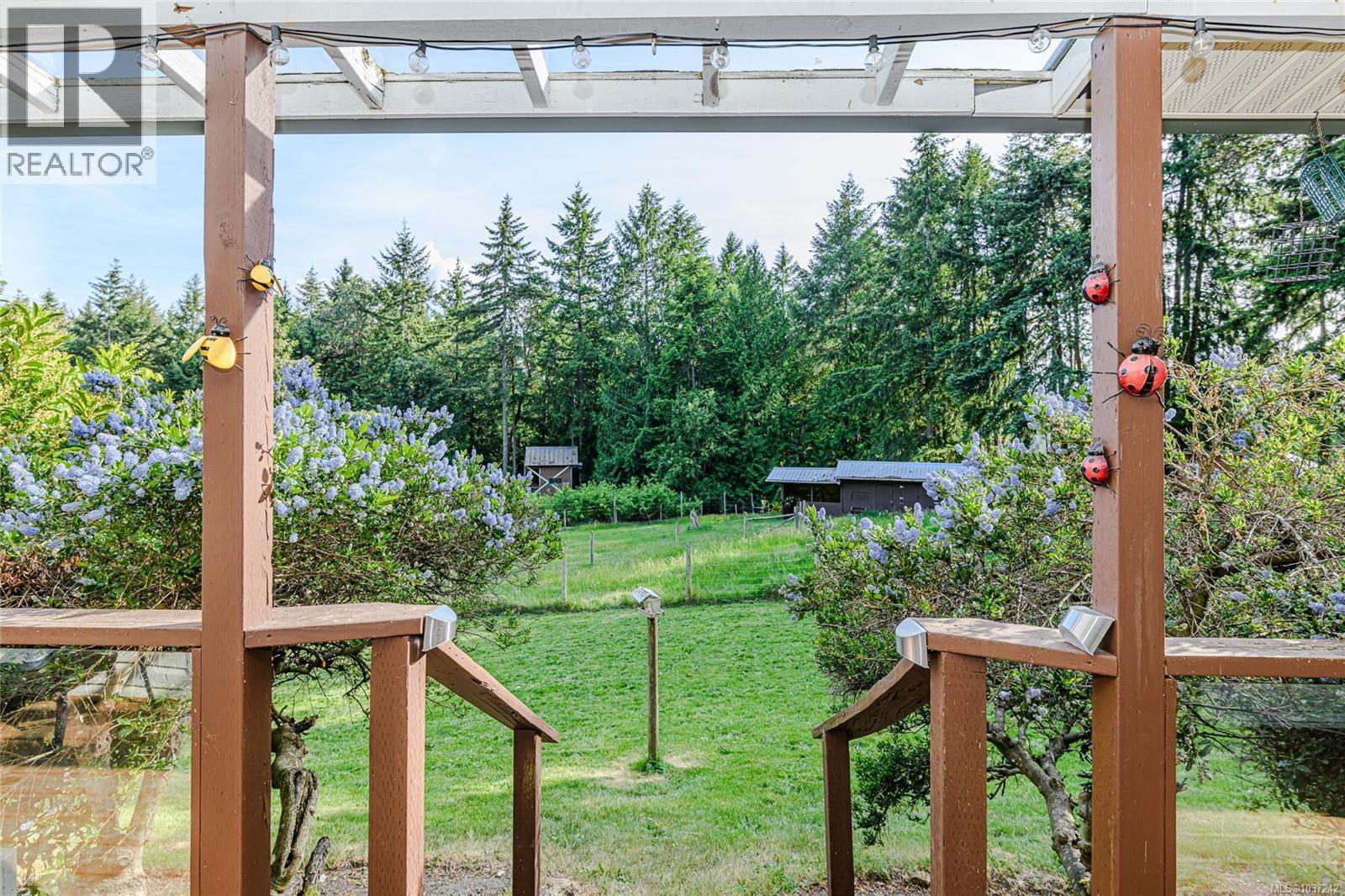 896 Chapman Rd - 12