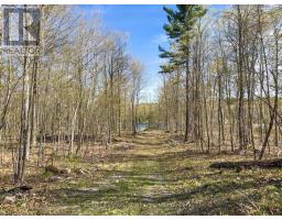 211 Lacourse Lane, Lanark Highlands, ON K0A3L0 Photo 22