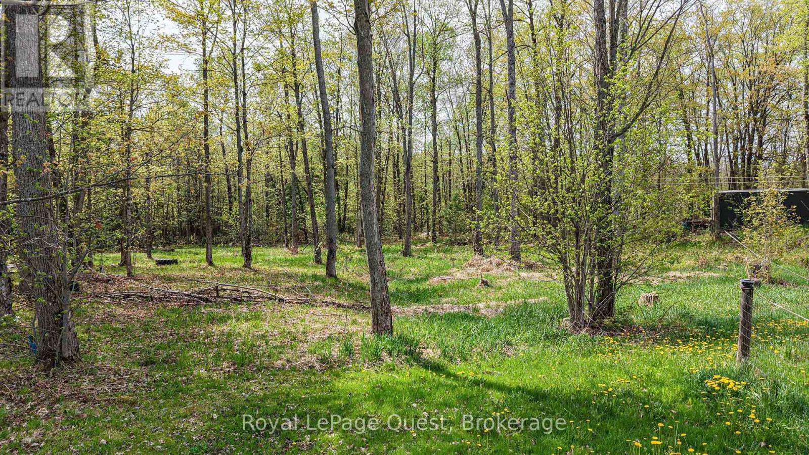 137 MORTON LANE - 7