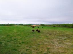 , Binscarth, MB R0J1W0 Photo 27