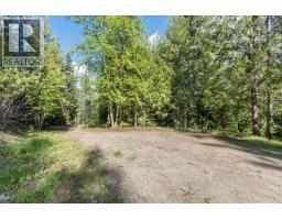 3630 Mountain View Road, Bonnington, BC V0G2G3 Photo 81