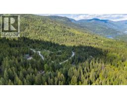 3630 Mountain View Road, Bonnington, BC V0G2G3 Photo 84