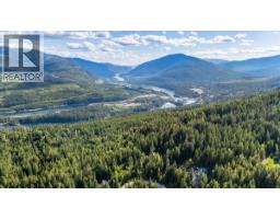 3630 Mountain View Road, Bonnington, BC V0G2G3 Photo 86