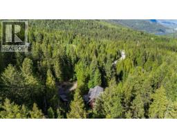 3630 Mountain View Road, Bonnington, BC V0G2G3 Photo 89