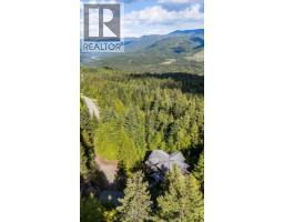 3630 Mountain View Road, Bonnington, BC V0G2G3 Photo 90