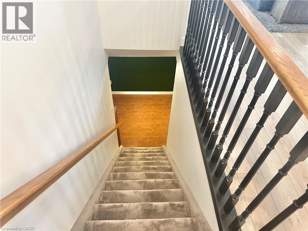 7 SPRUCE GROVE Court - 25